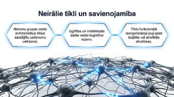 Презентация 'Neiroplastiskums un novecošana: vai smadzenes saglabā elastību pēc 60 gadiem', 10.
