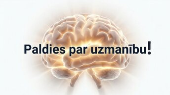 Презентация 'Neiroplastiskums un novecošana: vai smadzenes saglabā elastību pēc 60 gadiem', 16.