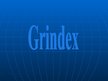 Презентация 'Uzņēmums "Grindex"', 1.