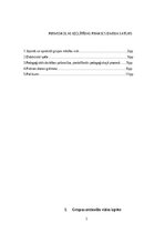 Отчёт по практике 'Prakse pirmsskolā', 2.