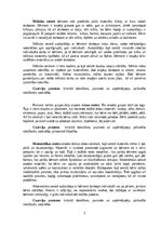 Отчёт по практике 'Prakse pirmsskolā', 4.