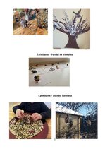 Отчёт по практике 'Prakse pirmsskolā', 14.