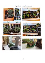 Отчёт по практике 'Prakse pirmsskolā', 15.