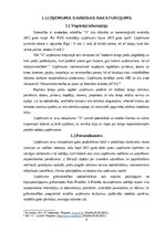 Отчёт по практике 'PRAKSE II: Valsts ieņēmumu dienests / Uzņēmums', 4.