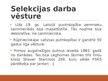 Презентация 'Selekcija Latvijā - dējējvistas', 9.