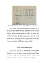 Реферат 'Pāļu tipi', 3.