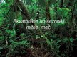 Презентация 'Ekvatoriālie un sezonāli mitrie meži', 1.
