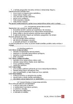 Образец документа 'Darba aizsardzības instrukcija kravu izvietošanai un nostiprināšanai transportlī', 2.