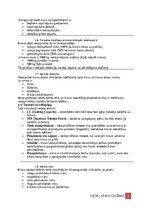 Образец документа 'Darba aizsardzības instrukcija kravu izvietošanai un nostiprināšanai transportlī', 3.