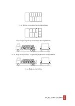 Образец документа 'Darba aizsardzības instrukcija kravu izvietošanai un nostiprināšanai transportlī', 19.