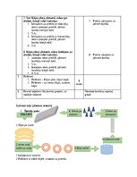 Конспект 'Pirmsskolas izglītības 3. posma sporta nodarbības konspekts', 4.