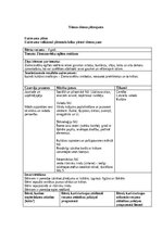 Образец документа 'Ziemassvētku eglītes rotāšana', 1.