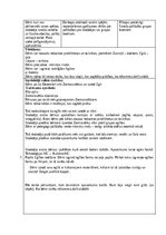 Образец документа 'Ziemassvētku eglītes rotāšana', 2.