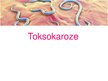 Презентация 'Toksokaroze', 1.