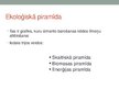 Презентация 'Barības tīkli ekosistēmās un ekoloģiskā piramīda', 9.