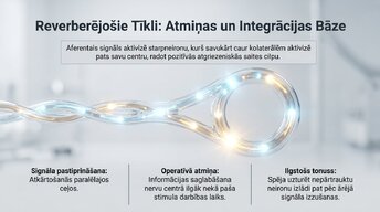Презентация 'Starpneironi: neirālo tīklu arhitekti', 8.