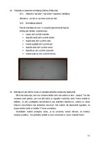 Конспект 'Bērna runas attīstības un valodas apguves izpēte pirmsskolas vecumā', 11.