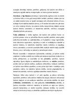 Конспект 'Lietu tiesības: institūti, tiesību aizsardzība un praktiskā pielietošana Latvijā', 7.