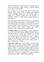 Конспект 'Lietu tiesības: institūti, tiesību aizsardzība un praktiskā pielietošana Latvijā', 11.