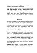 Конспект 'Lietu tiesības: institūti, tiesību aizsardzība un praktiskā pielietošana Latvijā', 27.