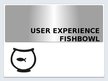 Презентация 'User experience fishbowl', 1.