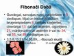 Презентация 'Fibonači skaitļi', 12.