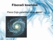 Презентация 'Fibonači skaitļi', 13.