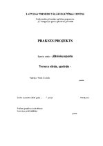 Отчёт по практике 'Trenera prakses projekts', 1.
