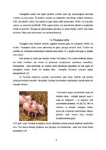 Реферат 'Ģenētiskās modifikācijas dzīvnieku valsts izcelsmes produktos', 9.