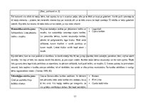 Отчёт по практике 'Aktīvā mācību un audzināšanas prakse pirmsskolā II', 12.