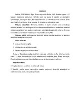 Реферат 'Studiju kurss: Kriminālsodu politika un noziedzības attīstības tendences TERORIS', 3.