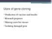 Презентация 'Gene Cloning', 8.