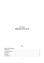Реферат 'Company "MB Baltfuels"', 1.
