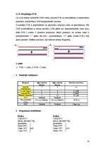 Реферат 'NUCB2 gēna promotera DNS sekvences un CpG metilēšanas analīze', 19.