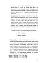 Реферат 'Tiesību normu piemērošana un interpretācija. Normu kolīzijas', 14.