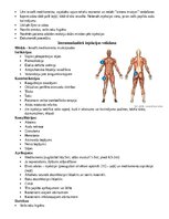 Конспект 'Intrakutānās jeb intradermālā injekcijas veikšana', 2.