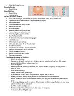 Конспект 'Intrakutānās jeb intradermālā injekcijas veikšana', 6.
