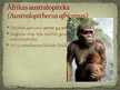 Презентация 'Australopiteks', 7.