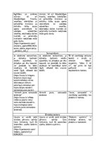 Конспект 'Valodas kļūdu piemēri medijos', 2.