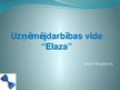Презентация 'Biznesa ideja "Elaza"', 1.