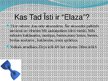 Презентация 'Biznesa ideja "Elaza"', 2.