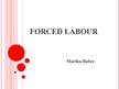 Презентация 'Forced Labour in Brazil', 1.
