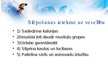 Презентация 'Slēpošana', 2.