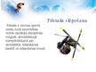 Презентация 'Slēpošana', 10.