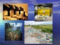 Презентация 'Environmental Problems', 10.