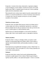 Эссе 'Kriptovalūtas – nākotnes finanšu instruments vai riskants eksperiments?', 3.