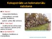 Презентация 'Dabas resursu un vides stāvokļa novērtējums Jūrmalā', 16.