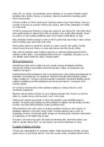 Конспект 'Ulubeles pasaku īss satura atstāstījums', 4.
