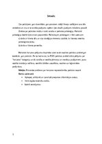 Реферат 'Harizma un tās loma politikā', 3.