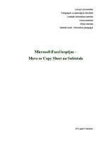 Реферат 'Microsoft Excel iespējas - Move or Copy Sheet un Subtotals', 1.